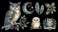 Owl clipart set with crescent moon, feathers, acorns, and branches, isolated on transparent background, ready for stickers, t-shirt design, and print on demand.