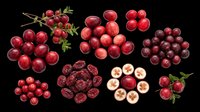 Red and dark grapes, cranberries, and pomegranate slices isolated on transparent background, ready for clipart, t-shirt design, stickers, print-on-demand, and sublimation projects.