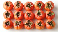 Fresh ripe persimmons arranged in neat rows on white background, showing stems and calyxes. Seasonal autumn fruits isolated and ready for design use.