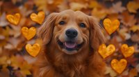 Happy golden retriever dog with glowing heart bokeh effect on autumn background with fallen leaves, smiling expression and warm orange tones creates joyful mood.