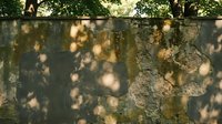 Old weathered stone wall with natural tree shadow patterns creating artistic light and dark contrast in warm sunlight for architectural backgrounds.