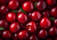 Fresh ripe cranberries with green leaves macro background, bright red berries close-up pattern for food and harvest season designs.
