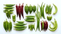 Assorted fresh okra and chili peppers arranged on white background, isolated vegetables for cooking, culinary ingredients, healthy produce for recipe design and food packaging.