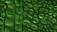 Green crocodile leather texture with scales and patterns, natural exotic animal skin surface macro close up for luxury fashion design background.