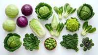 Fresh green and purple cabbage varieties with leafy vegetables arranged on white background for healthy cooking and nutrition concepts.