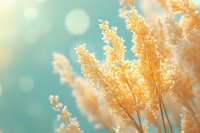 Golden reed plumes against turquoise bokeh background create dreamy autumn atmosphere with soft sunlight and delicate natural details.