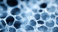 Macro photography of honeycomb structure in cool blue tones showing organic cellular pattern with depth of field effect, scientific research concept for biology and nature.