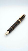 Elegant tortoiseshell fountain pen with gold accents and nib on white background for luxury writing instruments and business stationery designs.