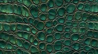 Exotic emerald green crocodile leather texture with detailed scales and natural pattern. Close-up macro shot showing luxurious reptilian skin surface structure.