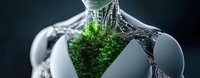 Broken white ceramic vase with green fern growing inside, surrounded by water splash and cobweb-like structures on dark background. Creative nature concept.