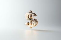 Golden dollar sign symbol floating on light background with soft shadow, luxury financial concept for business and wealth management presentations.