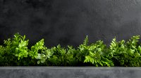 Fresh green herbs and plants growing in modern concrete planter against dark textured wall, creating minimalist garden design for urban spaces.