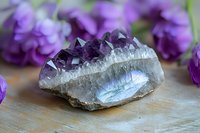 Raw amethyst crystal cluster with deep purple points and white crystalline base displays rainbow iridescence, photographed on wooden surface with purple flowers in background.