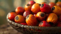 Fresh palm oil fruits in rustic woven basket, vibrant red and orange colors with natural lighting, close-up view showing texture and details for food industry use.