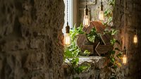 Rustic stone wall interior with vintage Edison bulbs and wooden recycling symbol surrounded by green ivy plants in warm ambient light.