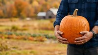 Farmer in denim shirt holding fresh orange pumpkin in autumn harvest field with barn and golden foliage in background.