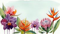 Watercolor tropical flowers border with orchids, protea, bird of paradise and exotic blooms on white background for botanical design projects.