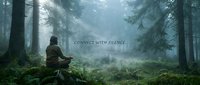 Person meditating in misty forest surrounded by tall trees and ferns, peaceful nature scene for mindfulness and wellness concepts.