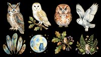 Owl species collection with barn owl, eagle owl, and screech owl illustrations isolated on transparent background, ready for clipart, t-shirt design, stickers, print-on-demand products, and sublimation projects.