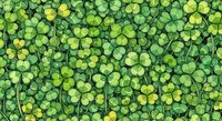 Seamless pattern of lush green clover leaves covering the entire surface, tiling into a single background for St. Patricks Day designs.