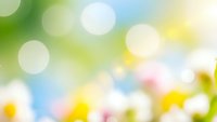 Soft blurred spring background with bokeh lights and colorful flowers creating dreamy atmosphere for seasonal designs and nature presentations.