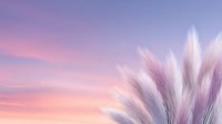 Soft pampas grass silhouettes against dreamy purple pink sunset sky creating peaceful natural background for wellness meditation content.