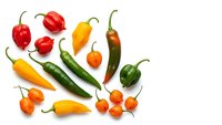 Colorful assortment of fresh hot chili peppers in red, yellow, orange and green varieties isolated on white background for culinary and cooking designs.