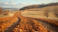 Winding dirt road through golden agricultural fields with tire tracks in rich orange soil, perfect for rural lifestyle and farming concepts. Scenic autumn landscape with rolling hills and forest edge.