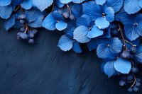 Vibrant blue hydrangea flowers and petals creating elegant border composition against dark moody background, natural floral arrangement with dramatic lighting.