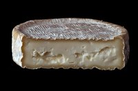 Creamy white rind cheese wheel cross section showing soft interior texture and rippled surface against dark background, food photography for gastronomy and culinary use.