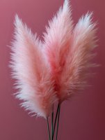 Soft pink pampas grass plumes against dusty rose background, creating gentle romantic mood for wedding decor and boho style arrangements.
