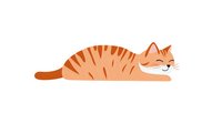Sleeping ginger striped cat in minimalist style with closed eyes and relaxed pose on white background, isolated design element for stationery and prints.