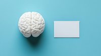 White anatomical brain model next to blank business card on turquoise background, minimalist medical concept for neurology, psychology and mental health studies.