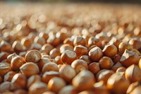 Fresh hazelnuts background with selective focus, perfect for food industry, packaging design, and healthy eating lifestyle blogs and publications.