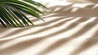 Palm leaf shadow on beige wall with natural sunlight creating diagonal stripes pattern. Minimal tropical aesthetic for modern interior design and summer mood.