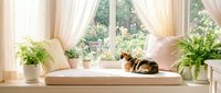 Calico cat resting on a cozy window seat surrounded by lush green plants and soft curtains in a bright, airy home interior.