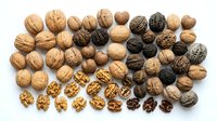 Mixed variety of whole and cracked walnuts displaying natural brown shells and golden kernels isolated on white background for healthy snacking designs.