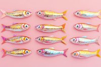 Colorful metallic fish arranged in rows on pink background, isolated and ready for design use on textiles, prints, and digital projects.