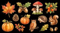 Autumn fall season collection with isolated maple leaf, acorns, mushrooms, berries, pumpkins, pinecone, hedgehog, owl and squirrel on transparent background. Ready for t-shirts, stickers, clipart and print-on-demand designs.