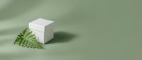 White cosmetic product box with green fern leaf on sage background for natural skincare branding and eco-friendly beauty packaging design.