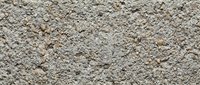 Rough concrete or cement surface with natural texture and weathered appearance, suitable for backgrounds, overlays, and construction-related projects.