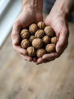 Male hands holding fresh walnuts in shell, showcasing organic nuts harvest. Suitable for food, agriculture, healthy eating, and nutrition content.