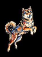 Shiba Inu dog with colorful watercolor paint splashes, isolated on transparent background, ready for t-shirts, stickers, clipart, and print-on-demand designs.