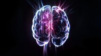 Glowing neon brain with circuit patterns in pink and blue colors on black background, representing artificial intelligence and neural networks technology.