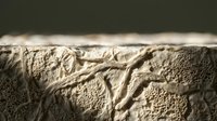 Crumpled beige linen fabric texture with natural wrinkles and folds creating organic patterns and shadows on neutral background for interior design projects.
