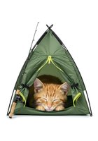 Ginger tabby cat relaxing inside green camping tent with fishing rod, isolated on white background for pet product design and outdoor recreation advertising.