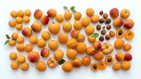 Fresh apricots and peaches arranged on white background with green leaves and pits, showcasing summer stone fruits for healthy eating and cooking concepts.