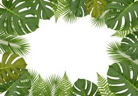 Tropical leaves frame border with monstera and palm fronds on white background for summer design projects and natural botanical decorations.