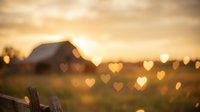 Romantic heart-shaped bokeh lights over blurred rural farm landscape at golden sunset creating dreamy Valentine's Day atmosphere for love themed designs.