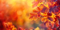 Vibrant autumn oak leaves with golden sunlight and bokeh effect creating dreamy fall atmosphere. Natural seasonal background with orange and purple foliage.
